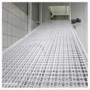 سير بلاستيك